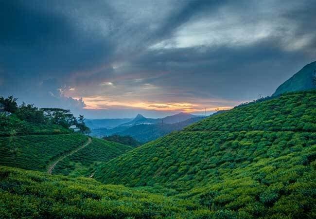 Wayanad