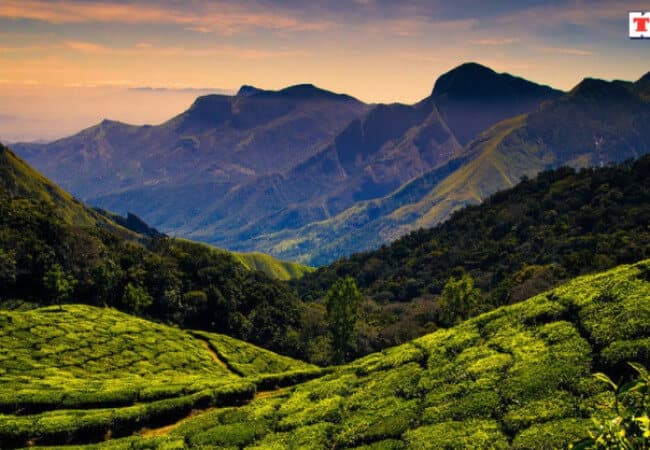 Munnar